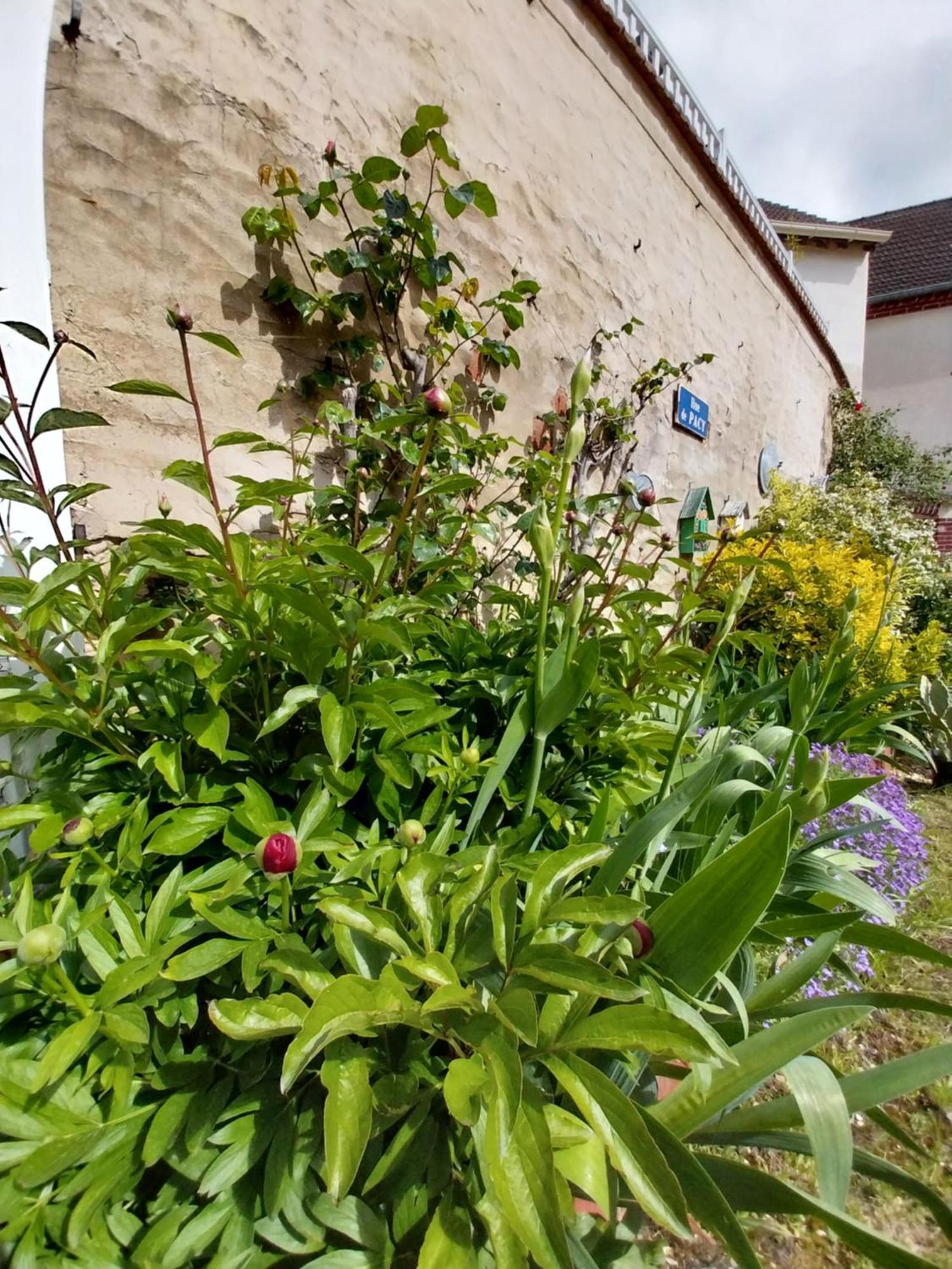 La Petite Maison Gasny Екстер'єр фото